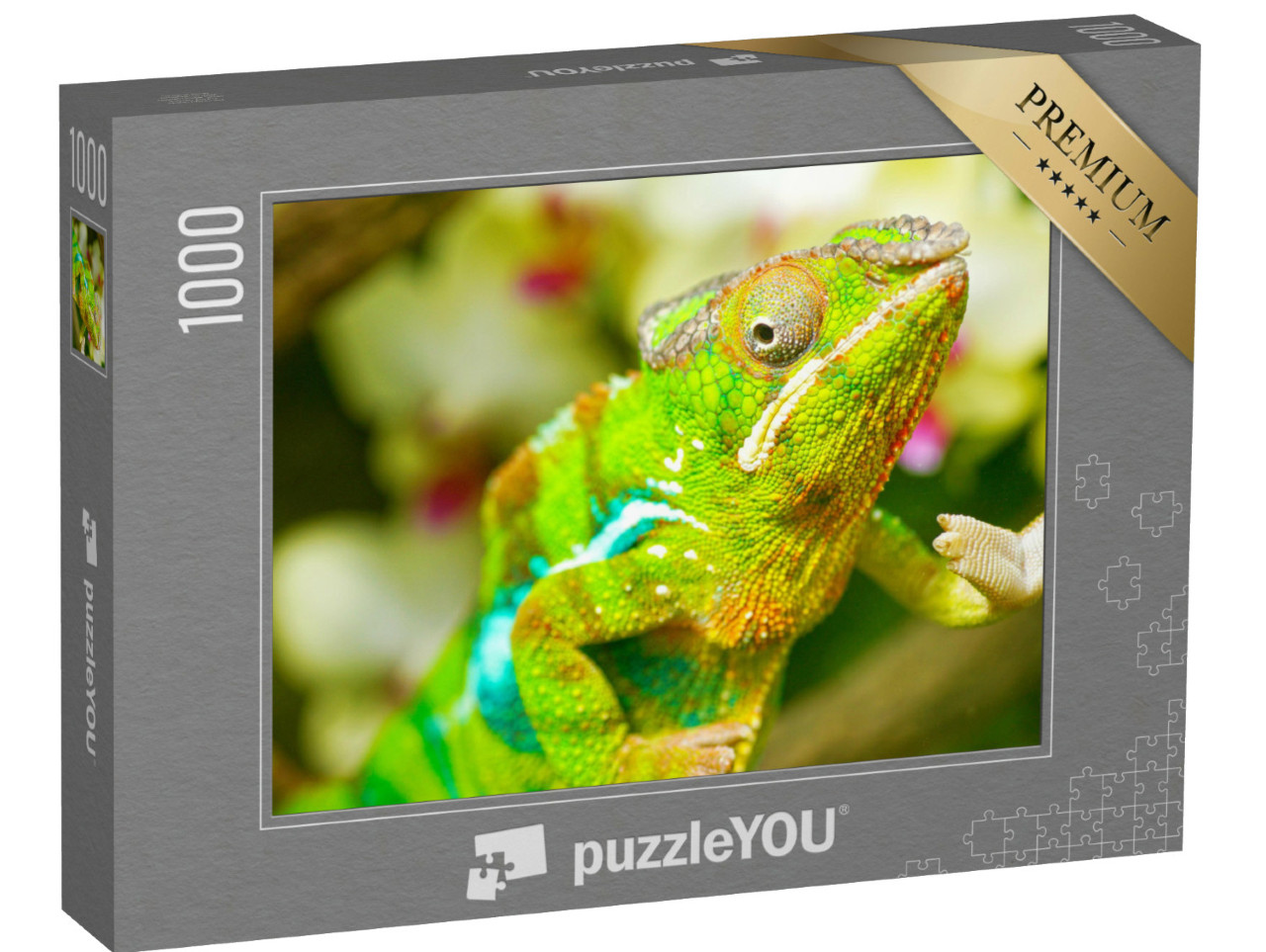 Puzzle de 1000 pièces « Caméléon coloré »