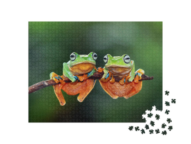 Puzzle de 1000 pièces « Grenouilles sur une petite branche »