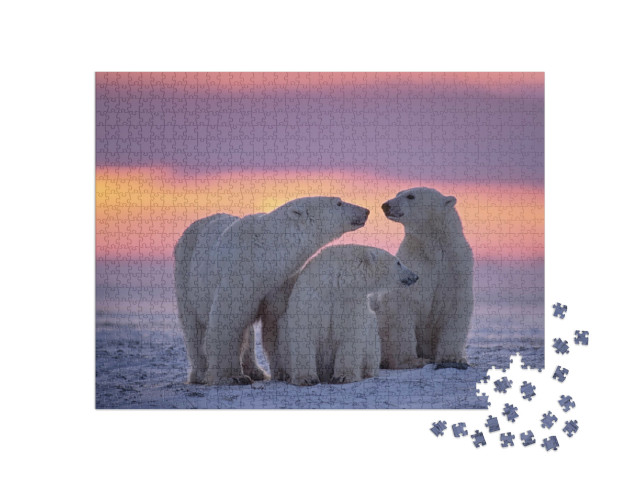 Puzzle de 1000 pièces « Famille d'ours polaires au coucher du soleil dans l'Arctique canadien »