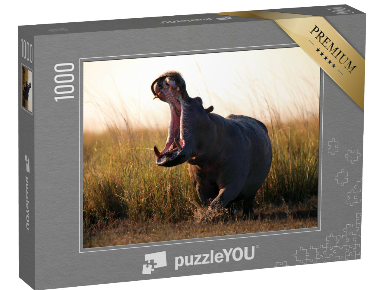 Puzzle de 1000 pièces « L'hippopotame, Hippopotamus amphibius »