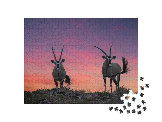 Puzzle de 1000 pièces « Deux grandes antilopes aux cornes spectaculaires, Kalahari »