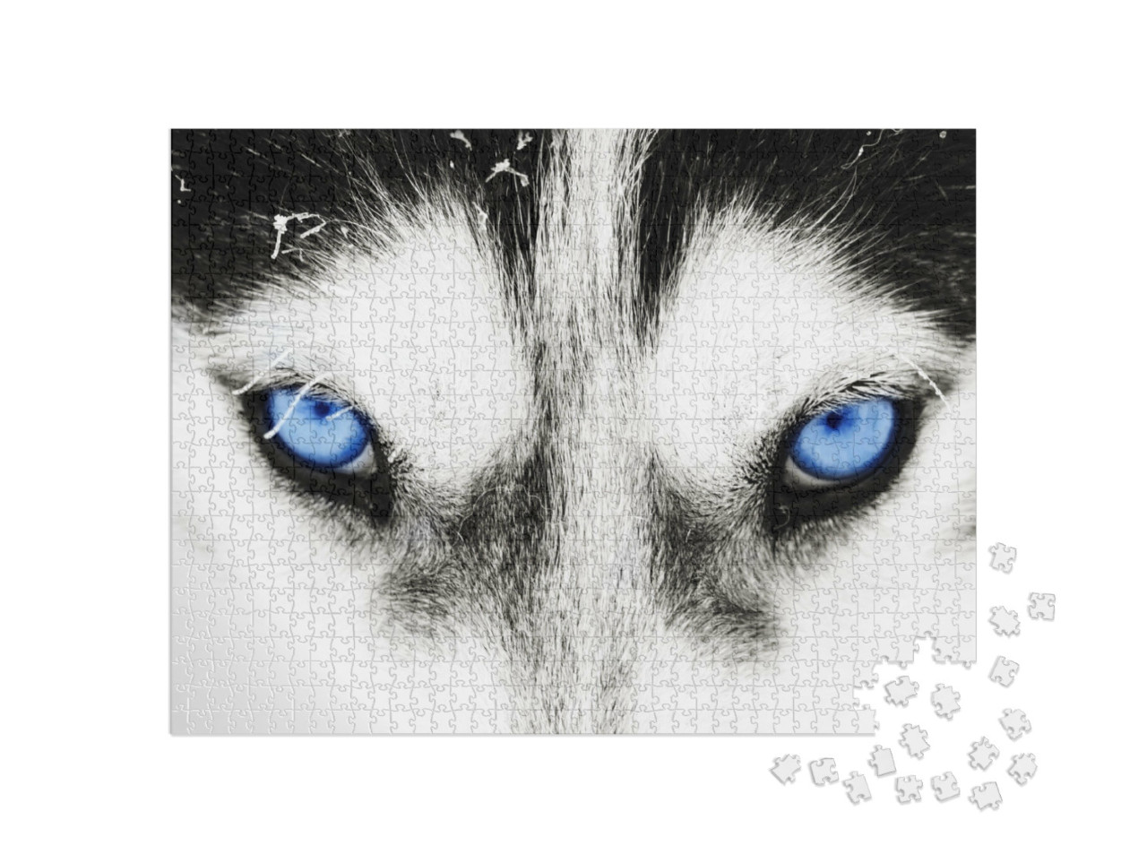 Puzzle de 1000 pièces « Gros plan : les yeux bleus d'un chien husky »