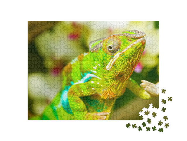 Puzzle de 1000 pièces « Caméléon coloré »
