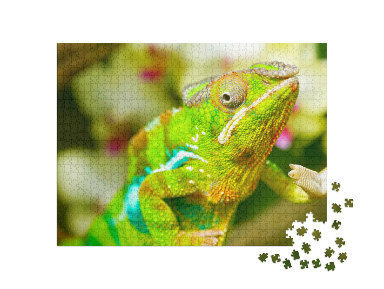 Puzzle de 1000 pièces « Caméléon coloré »