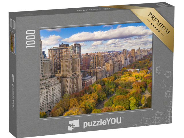 Puzzle de 1000 pièces « La mitaine de Central Park à Manhattan, New York »