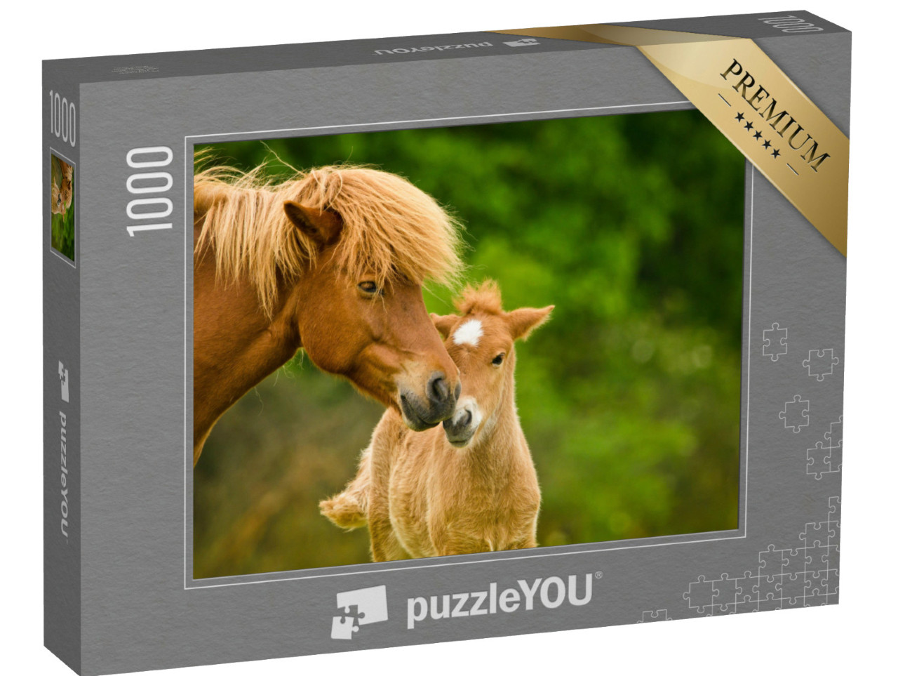 Puzzle de 1000 pièces « Poulain islandais alezan et sa mère »