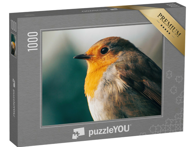 Puzzle de 1000 pièces « Portrait d'un rouge-gorge dans la lumière du soir »
