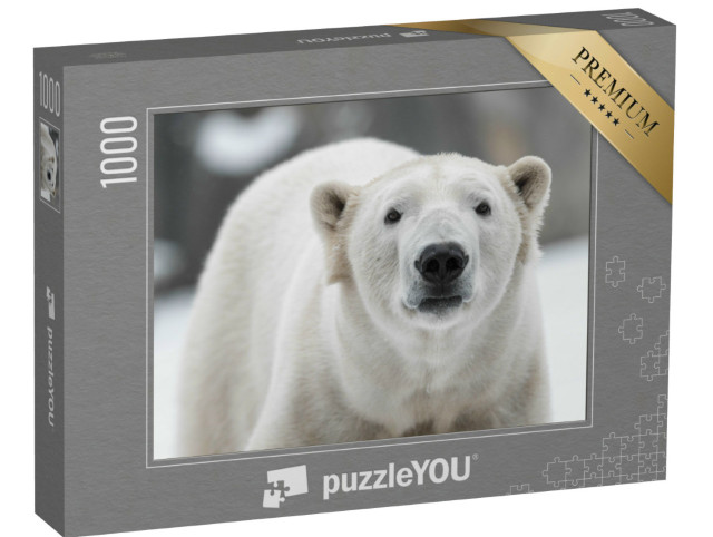 Puzzle de 1000 pièces « Ours polaire mâle, Ursus maritimus dans la neige »