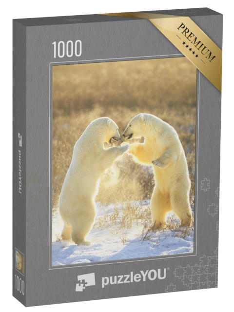 Puzzle de 1000 pièces « Ours polaires du Canada »