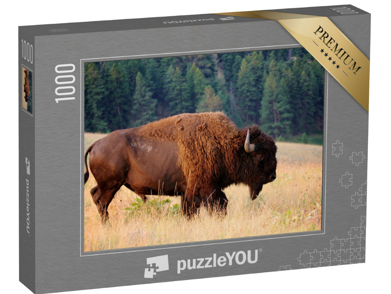 Puzzle de 1000 pièces « Bison américain au petit matin, Montana »