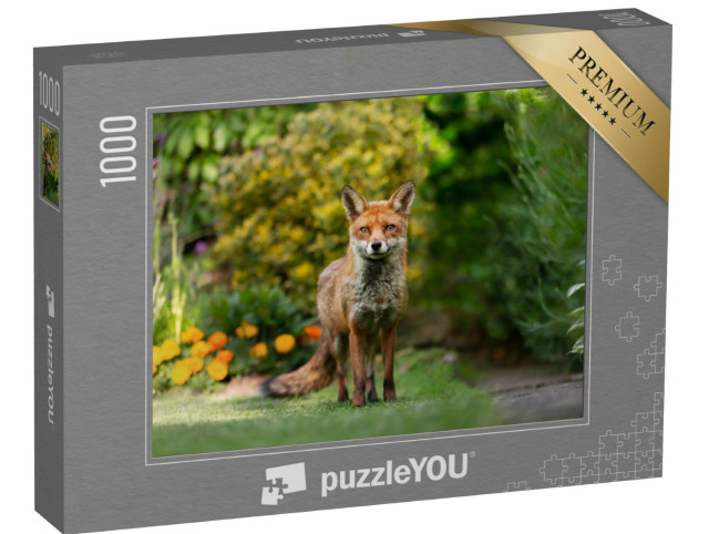 Puzzle de 1000 pièces « Gros plan sur un renard roux »