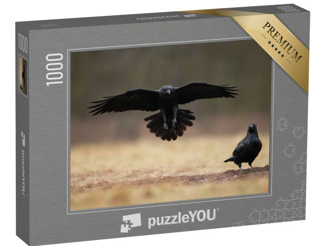Puzzle de 1000 pièces « Grand Corbeau atterrissant avec les ailes grandes ouvertes »