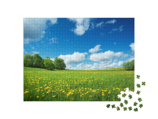 Puzzle de 1000 pièces « Champ de pissenlits jaunes et ciel bleu »