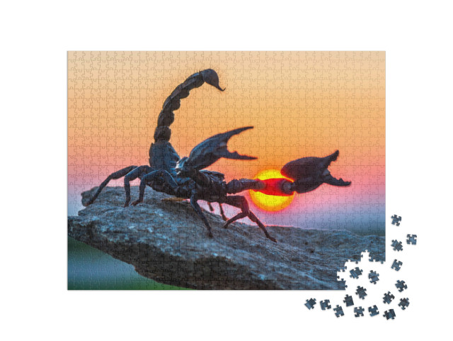 Puzzle de 1000 pièces « Le scorpion impérial »
