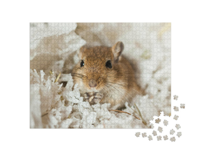 Puzzle de 1000 pièces « Adorable petite gerbille mongole »
