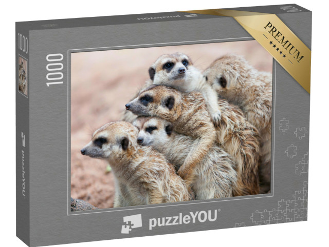 Puzzle de 1000 pièces « Les suricates s'enlacent par un jour de pluie »
