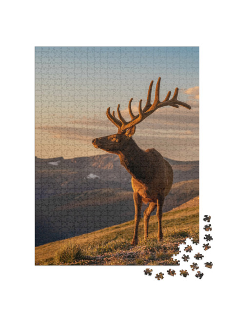 Puzzle de 1000 pièces « Élans sauvages »