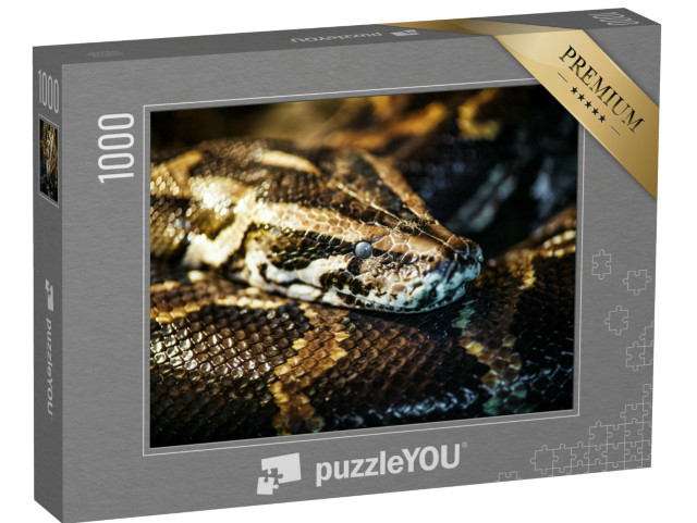 Puzzle de 1000 pièces « Python réticulé, également connu sous le nom de python royal ou python boule »