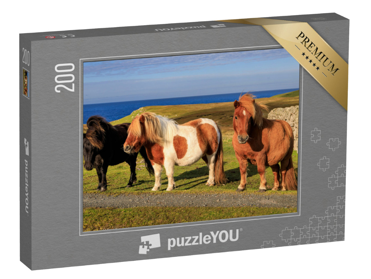 Puzzle de 200 pièces « Trois poneys Shetland sur la côte écossaise »