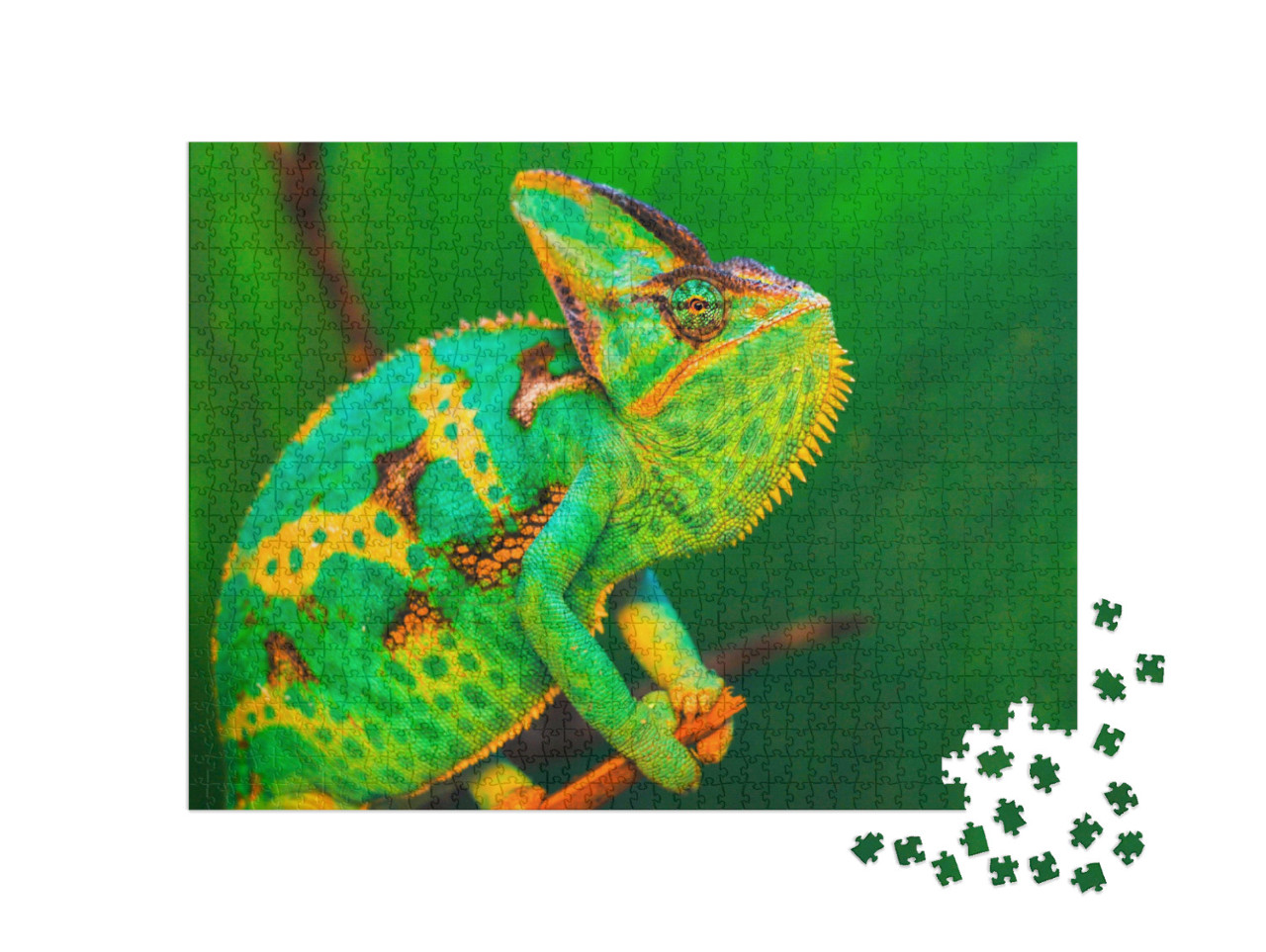 Puzzle de 1000 pièces « Chamaeleo calyptratus en Arabie saoudite, au Yémen »