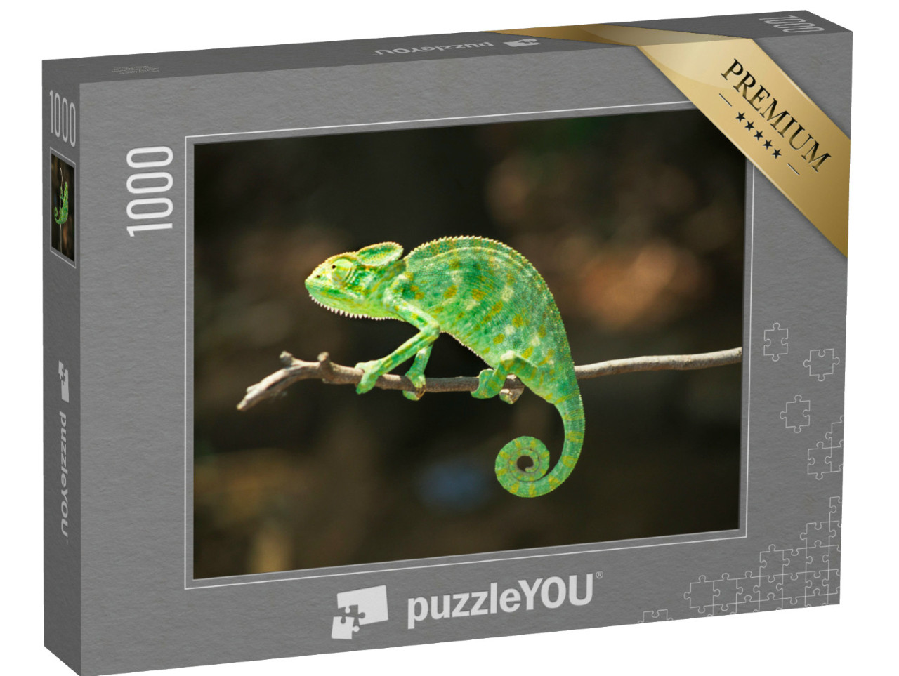 Puzzle de 1000 pièces « Caméléon d'Asie du Sud, Chamaeleo zeylanicus »