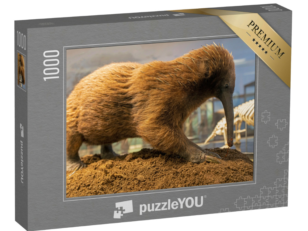 Puzzle de 1000 pièces « Le long bec australien, fourmilier épineux »