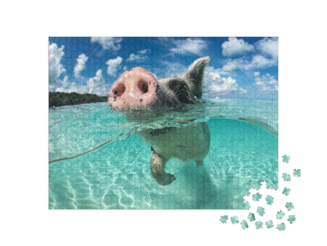 Puzzle de 1000 pièces « Un cochon flottant, Big Majors Cay, Bahamas »