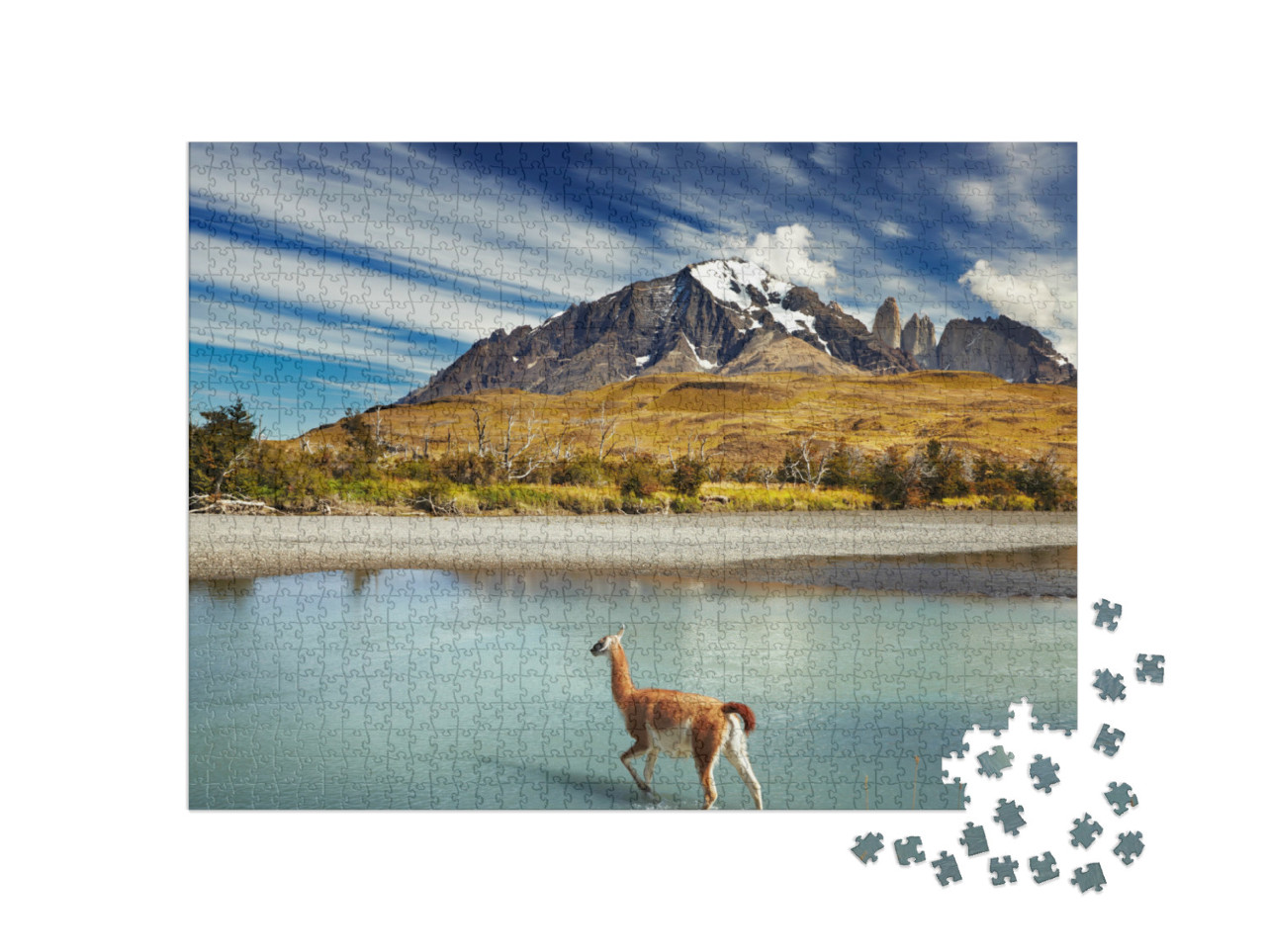 Puzzle de 1000 pièces « Guanaco traversant la rivière dans le Torres del Paine, Patagonie, Chili »