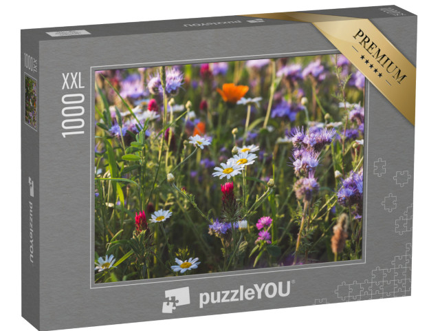 Puzzle 1000 pièces XXL « Prairie d'herbes aromatiques à floraison multicolore avec phacélie et soucis à fleurs violettes »