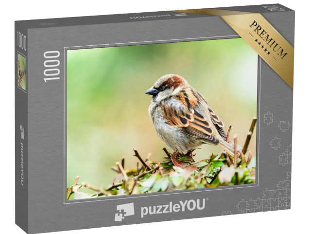 Puzzle de 1000 pièces « Un petit moineau »