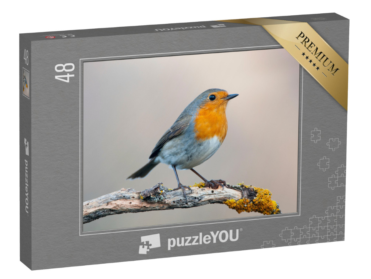 Puzzle de 48 pièces « Rouge-gorge curieux »
