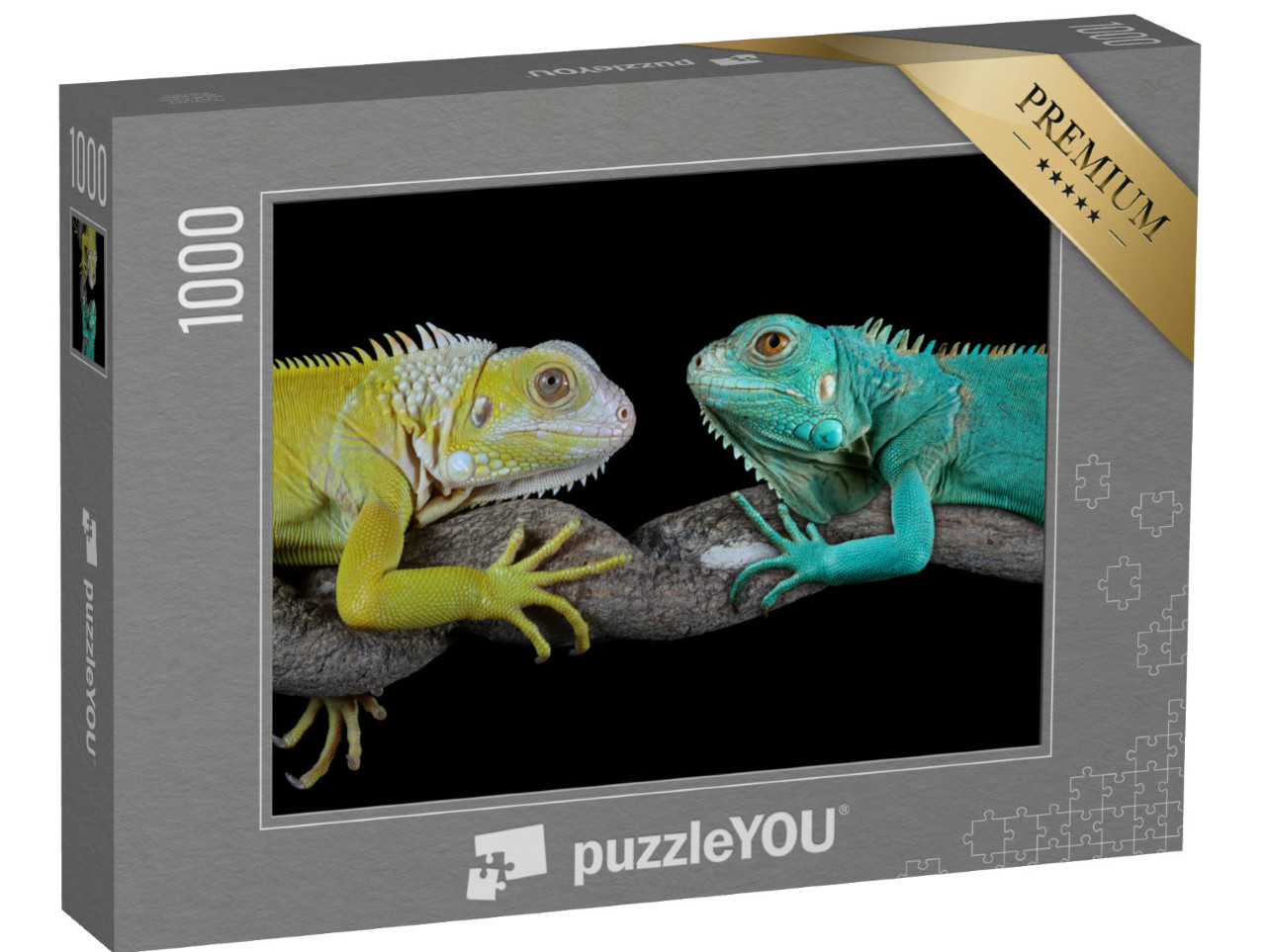 Puzzle de 1000 pièces « Iguanes bleus de Grand Cayman »