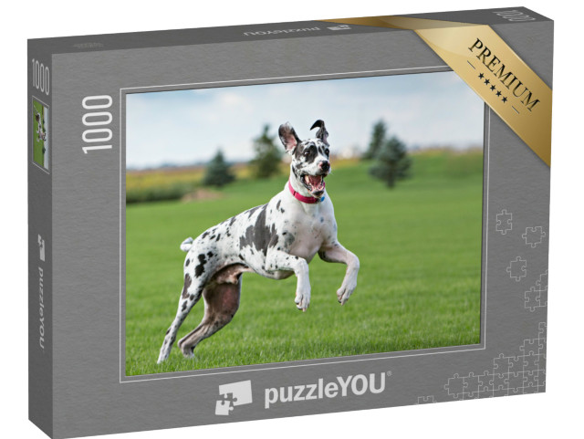 Puzzle de 1000 pièces « Dogue allemand s'amusant dans la prairie »