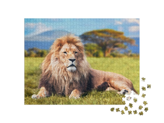 Puzzle de 1000 pièces « Grand lion dans l'herbe de la savane »