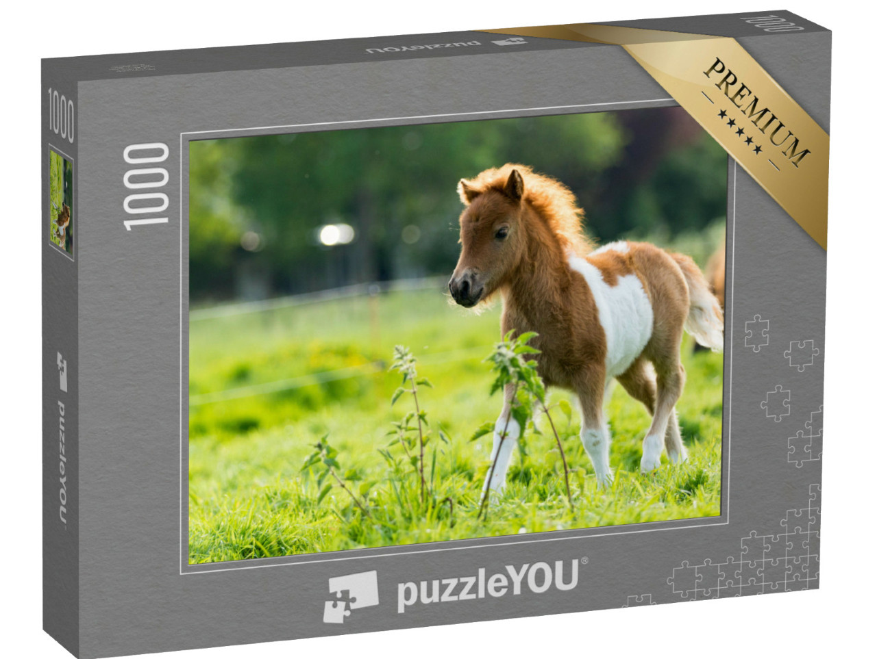 Puzzle de 1000 pièces « Un adorable poulain shetland explore le monde »