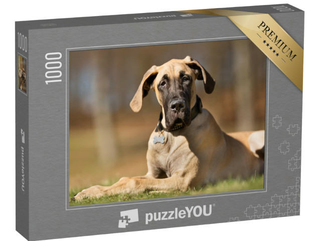 Puzzle de 1000 pièces « Un dogue allemand de pure race sans laisse à l'extérieur dans la nature »